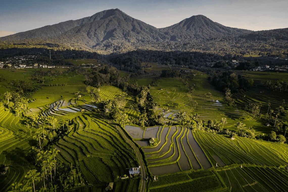 Jatiluwih Rice Terraces – UNESCO Heritage Beauty