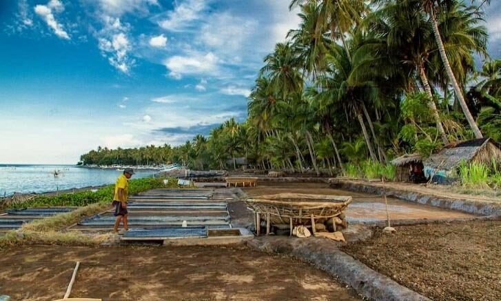 Les Village A Glimpse into Traditional Balinese Life
