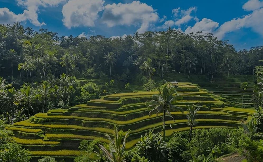 Lush Natural Beauty Bali
