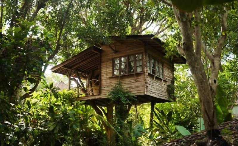 Most Affordable Treehouse Stays in Bali