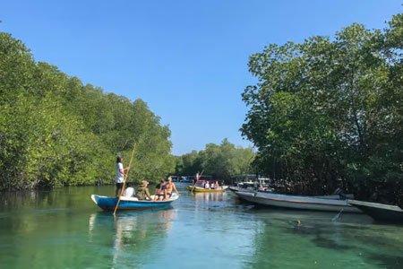 Nusa Lembongan Mangrove & Island Tour