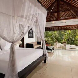 Omecure Suite