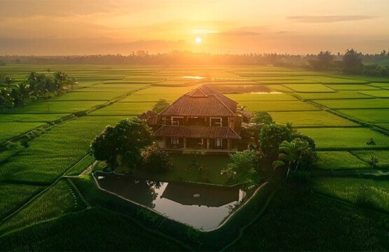 Rent a Bali Villa With Stunning Rice Field Views