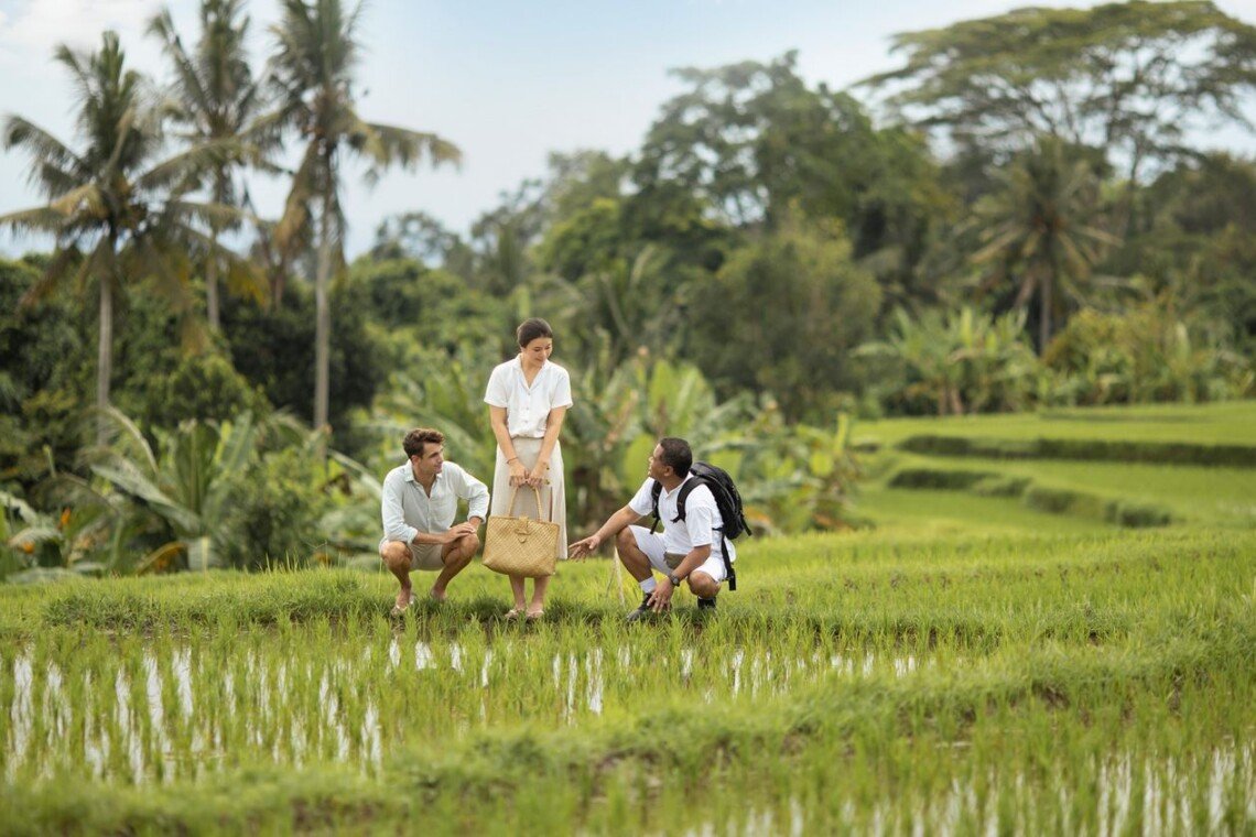 Rice Paddy Adventures