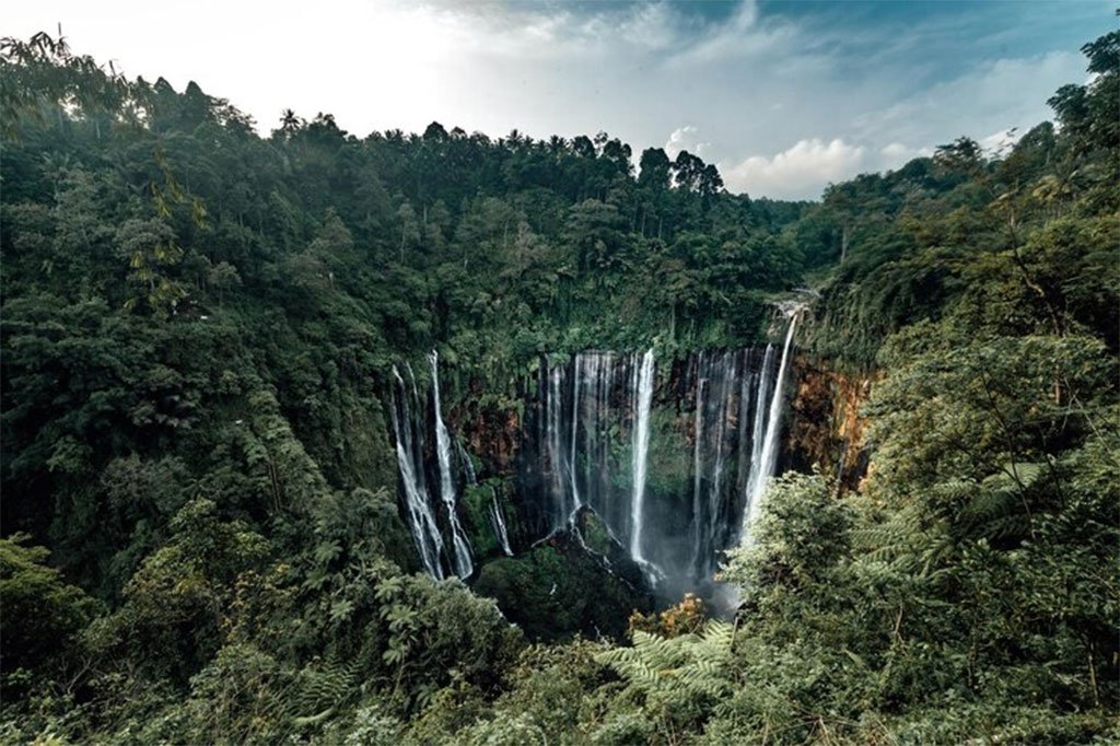 Sekumpul Waterfall