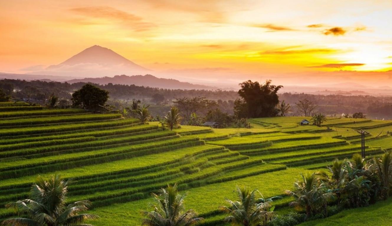 Sunrise Yoga Among the Ancient Rice Terraces of Jatiluwih