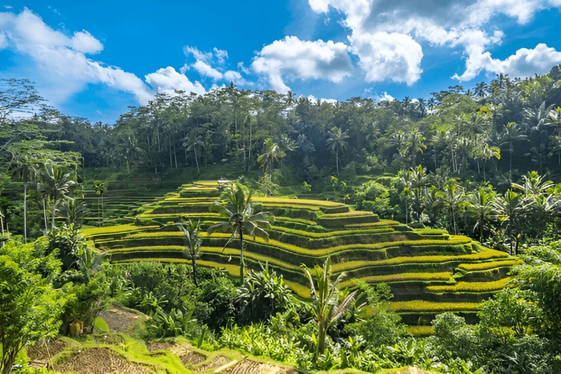 Tegallalang Rice Terraces - Nature's Masterpiece