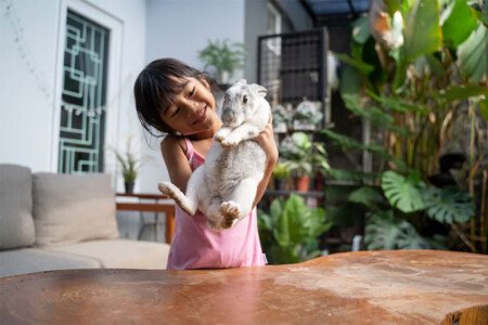 The Best Pet-Friendly Villas to Rent in Bali for Your Furry Friend