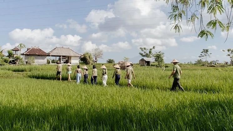 The Green Revolution in Bali Tourism 