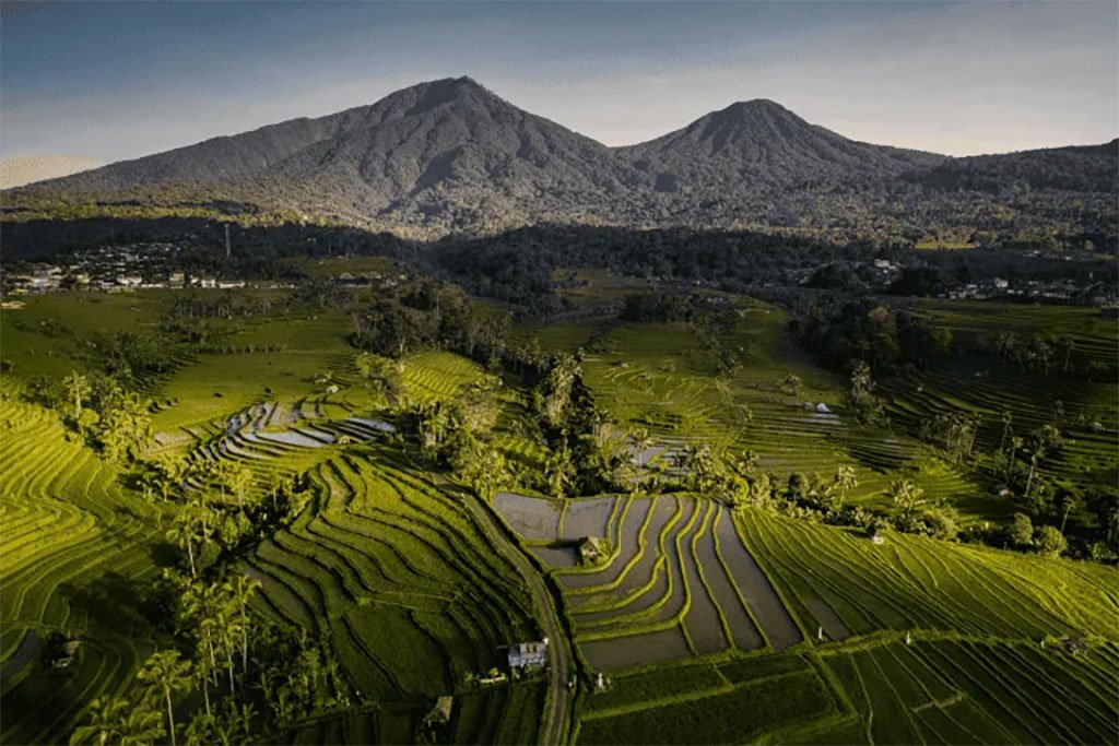The Hidden Rice Terraces of Jatiluwih