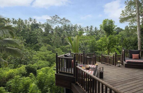The Lodge in the Woods
