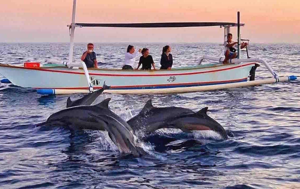 The Magic of Dolphin Encounters in Bali
