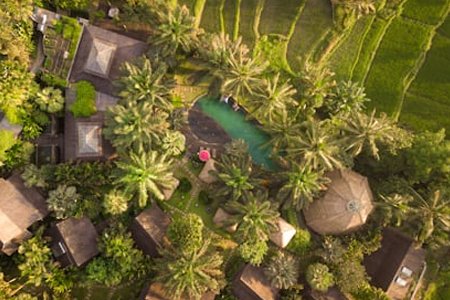 Ubud-Bali