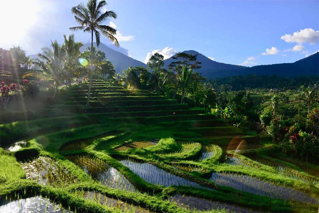 Ubud Bali