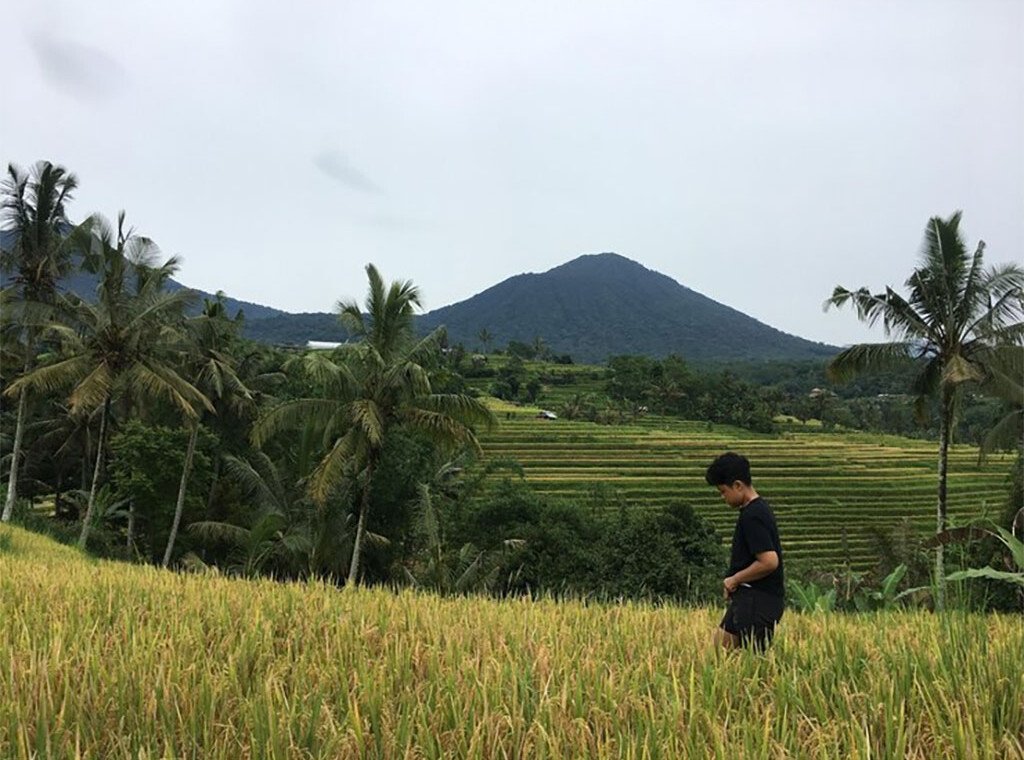 Ubud's Rice Terraces