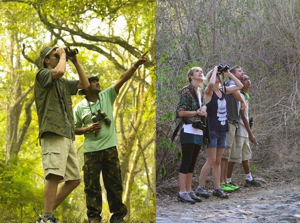 West Bali National Park Trek