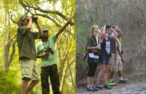 West Bali National Park Trek