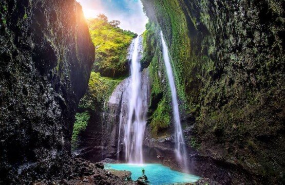 bali nature and healing
