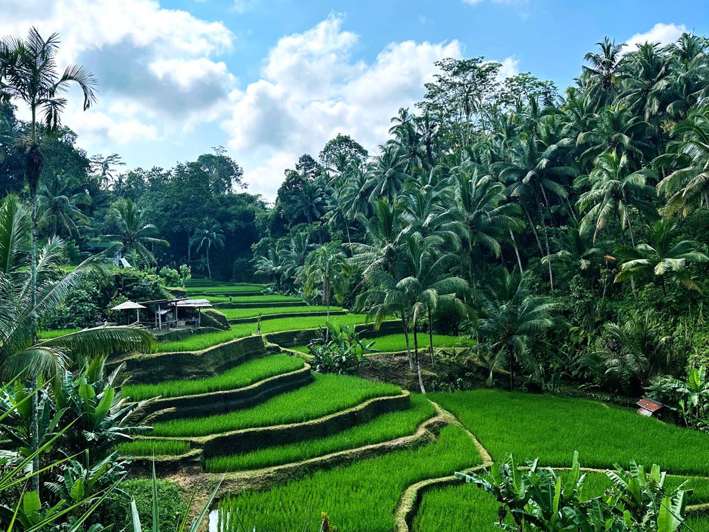Ubud